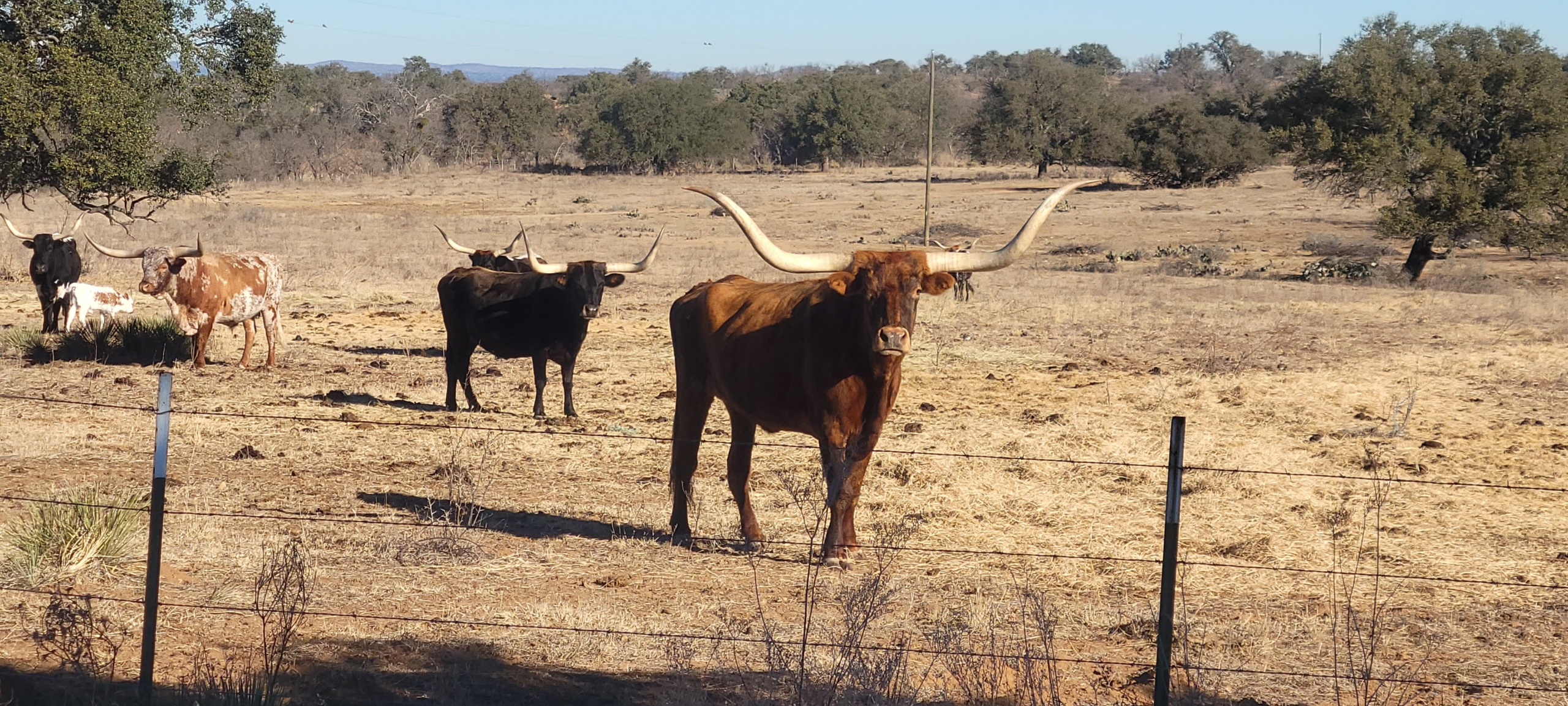 RVs in Junction and Mason