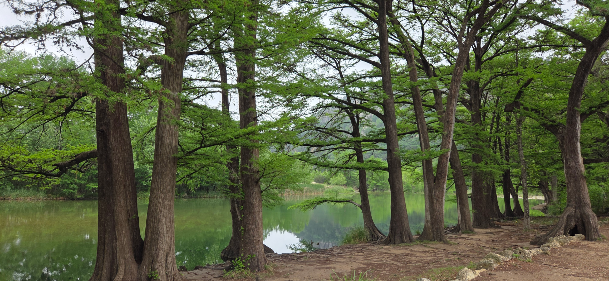 Discover Garner State Park: Frio River Adventures